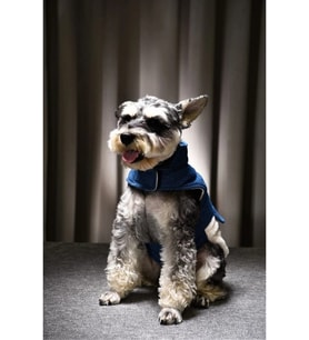 Miji Denim Polarlı Köpek Kıyafeti