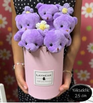 Pembe Silindir Kutu İçinde Sevimli Lila Renkli Peluş Ayıcıklar
