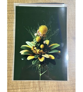 19X13 CM ÜTÜ İLE YAPIŞAN ÇİÇEK TRANSFER BASKI TİŞÖRT KOT BASKI ARMA