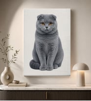 BK Gift Gri Scottish Fold Kedi Portresi Beyaz Fonlu Minimalist Modern Kanvas Duvar Tablosu 50x70 cm