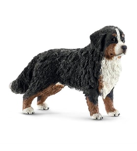 Schleich Dişi Bernese 16397