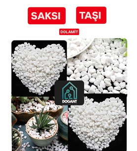 Beyaz Dolomit Dekoratif Akvaryum Vazo Bahçe Süs Taşları Saksı Taşı 2 Kg