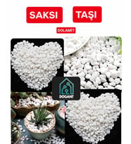 Beyaz Dolomit Dekoratif Akvaryum Vazo Bahçe Süs Taşları Saksı Taşı 2 Kg