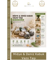 #DenizKabuğu 100 Doğal Dekoratif Marine Rüstik Ekolojik Estetik Şık Deniz Kabuğu Fileli Renkli Mix