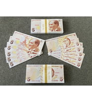 1 DESTE  5 TL GEÇERSİZ BANKNOT SAHTE DÜĞÜN DİZİ FİLM PARALARI DİJİTAL BASKI