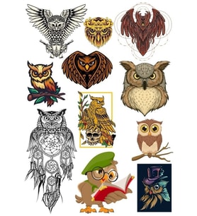 Baykuş Sticker Set-3 11 Parça Telefon, Tablet, Defter, Laptop Sticker