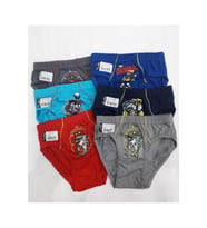 Tutku 0138 Erkek Çocuk Renkli Slip Külot 6 Adet (Karışık)
