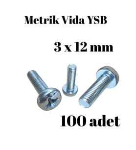 Metrik Vida YSB 3X12 100 Adet Yıldız Silindir Başlı Vida
