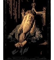 Dumbldore Sayılarla Boyama Seti 60x75 cm (Tuvale Gerili)