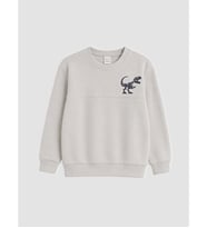 LCW Kids Gri Baskılı Erkek Çocuk Kalın Sweatshirt
