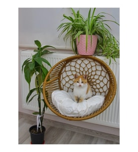 Yumuşak ve konforlu kalorifer askılı kedi ve köpek yatak