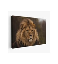 Aslan Dekoratif Kanvas Tablo 1159