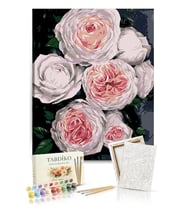 Sayılarla Boyama Seti 40 x 50 cm Tuval Şasesine Gerili Beyaz Güller