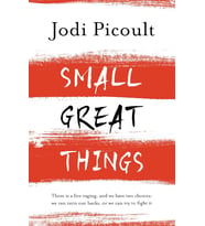 Small Great Things: The Bestselling Novel You Won'T Want To Miss (Krem)
