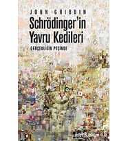 SCHRÖDİNGERİN YAVRU KEDİLERİ: Gerçekliğin Peşinde