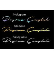 Ad Soyad İmza Model Araç Sticker-İsim Soyisim Araba Yazısı-Ön Cam Araba Yazısı-Motosiklet Sticker (Çok Renkli)