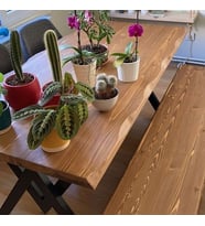 Deryawood Masif Ağaç Yemek Masası 85Cmx85Cmx76Cm- Acık Ceviz- V Ayak  Açık ceviz 2