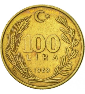 100 lira 1989 yılı madeni para