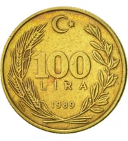 100 lira 1989 yılı madeni para
