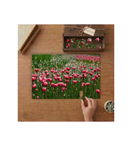 Kırmızı Hobi Bahçesi Tasarımı 240 parça Ahşap Puzzle Ahşap Kutuda MP04828