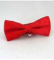 Kırmızı Çocuk Boy Düz Renk Saten Papyon - CP-03 (Renksiz)
