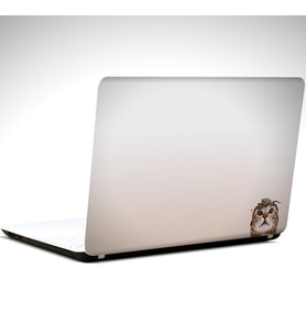 Kedi ve Yengeç Laptop Sticker 15.6 inch (38X27CM)