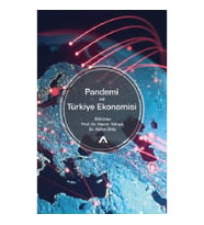 Pandemi ve Türkiye Ekonomisi