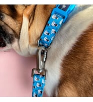 Lexroo Design Köpek Gezdirme Kayışı