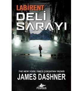 Labirent: Deli Sarayı