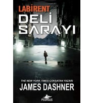 Labirent: Deli Sarayı