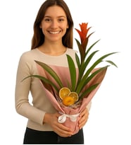 Buketli Beton Saksıda Guzmania