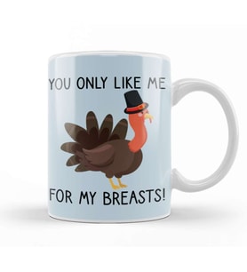You Only Like Me for My Breasts Funny Thanksgiving 02 Kupa Bardak Porselen