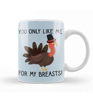 You Only Like Me for My Breasts Funny Thanksgiving 02 Kupa Bardak Porselen