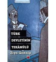 Türk Devletinin Tekâmülü