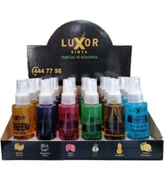 Luxor 24 Adet 100 Ml Ev & Oto Koku Seti Özel Kutulu