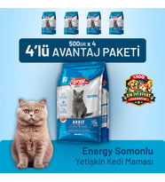 Somonlu Yetişkin Kedi Maması - 4 Adet