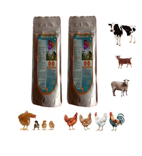 YILSAC E-SEL Kuş ve Kanatlılar İçin Vitamin Takviyesi – E + C + Selenyum 100 gr X 2 Adet