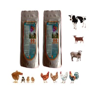 YILSAC E-SEL Kuş ve Kanatlılar İçin Vitamin Takviyesi – E + C + Selenyum 100 gr X 2 Adet
