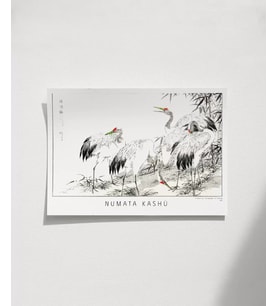 Çerçevesiz Poster Numata Kashu Kuşlar