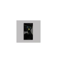 DBSanatevi Avangart Yıldızlı Siyahi Kadın Tablo 50 X 70 Cm