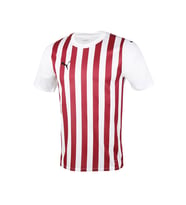 Puma Home Jersey Erkek Futbol Forması 77881301 Beyaz