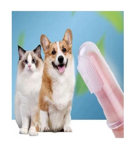 Kedi Ve Köpek Parmak Diş Fırçası (Saklama Kutulu) Parmağa Takılan Hayvan Diş Kaşıma Fırçası