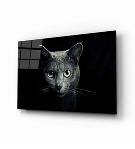 Kedi 8 Hayvan Cam Tablo