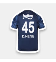 D.Nene-45 Fênerbâhçe 26-27 Yeni Sezon Yetişkin Futbol Forması