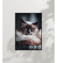Uyuyan Kedi Poster (Çok Renkli)