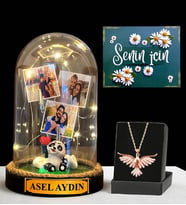 Premium Hediye Seti - Sizlere Özel Led Işıklı Fanus ve Zümrüdü Anka Kuşu Kolyesi (Model 4)
