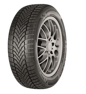 Falken 195/55 R16 TL 91V XL EUROWINTER HS02 Kış Lastiği (Üretim Tarihi :2025)