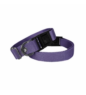 Köpek Tasması Dokuma 2 cm - Min: 30 cm - Max: 50 cm Mor