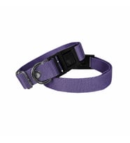 Köpek Tasması Dokuma 2 cm - Min: 30 cm - Max: 50 cm Mor