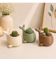 3'lü Balina Figürlü Dekoratif Mini Saksı Seti